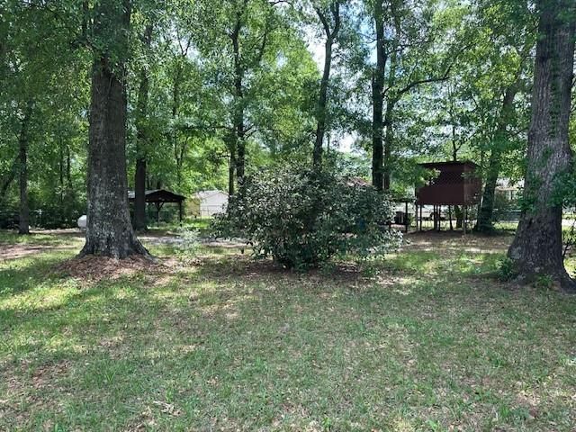 9169 Sharyn Dr, Conroe, TX 77384