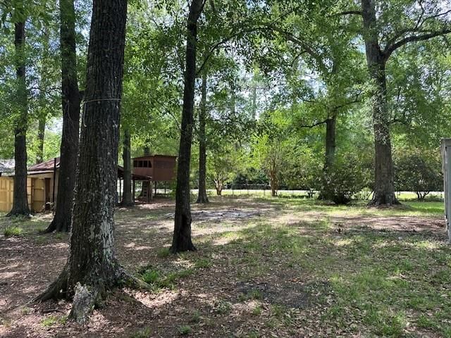 9169 Sharyn Dr, Conroe, TX 77384