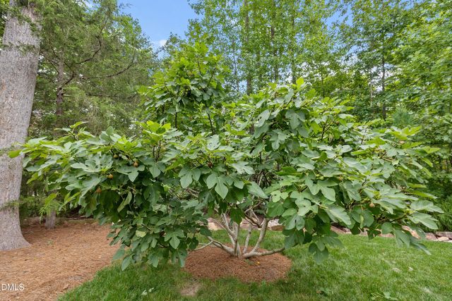 82 Coley Court, Pittsboro, NC 27312