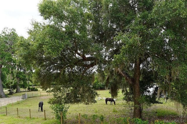 4450 E windmill Drive 107, Inverness, FL 34453