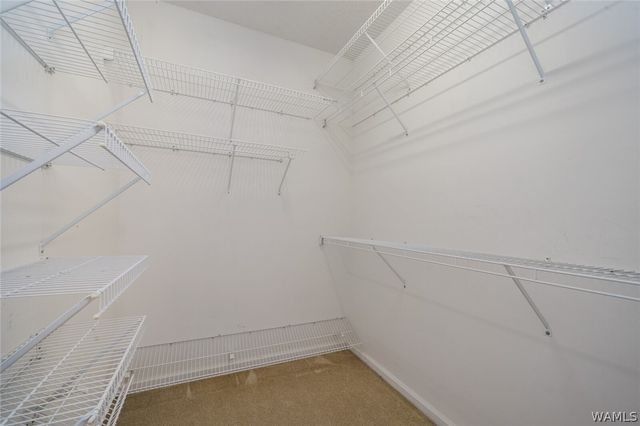 18 Highland, Tuscaloosa, AL 35406