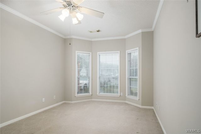 18 Highland, Tuscaloosa, AL 35406