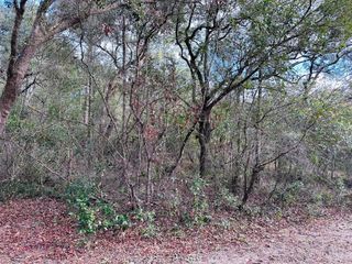 16151 NW 80TH COURT, Fanning Springs, FL 32693