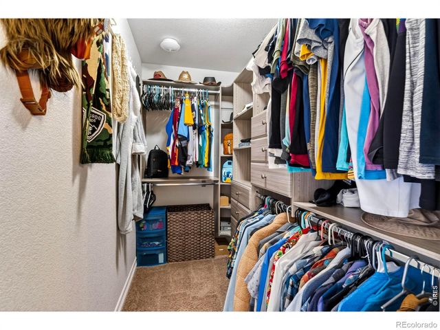 4487 Stump Avenue, Loveland, CO 80538