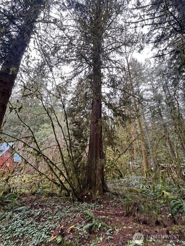 7138 Rainier Way, Glacier, WA 98244