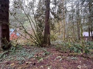 7138 Rainier Way, Glacier, WA 98244