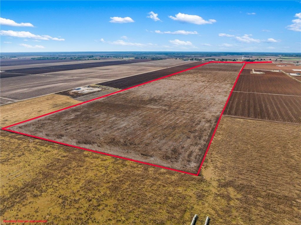 173.62 Acres FM 50, Hearne, TX 77859 — photo 4