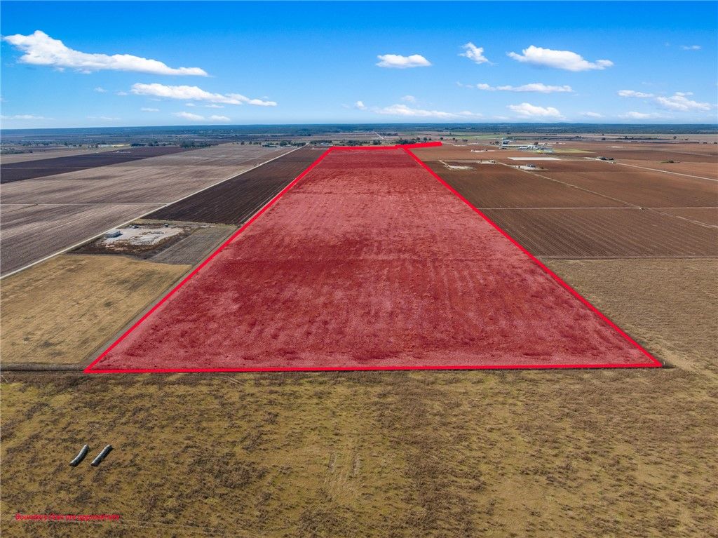173.62 Acres FM 50, Hearne, TX 77859 — photo 5