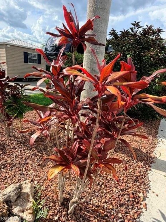 10327 Prairie Iris TRL, FORT MYERS, FL 33905 — photo 4