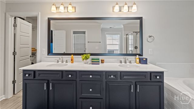 282 Spring Hill Drive, Richmond Hill, GA 31324