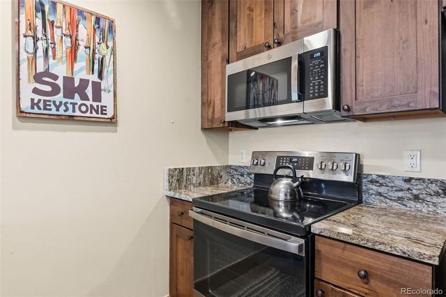 53 Hunki Dori Court 8875, Dillon, CO 80435