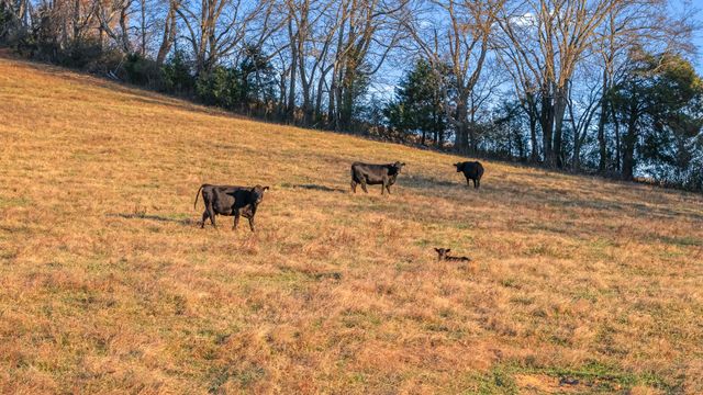 60 Groce Rd, Fayetteville, TN 37334