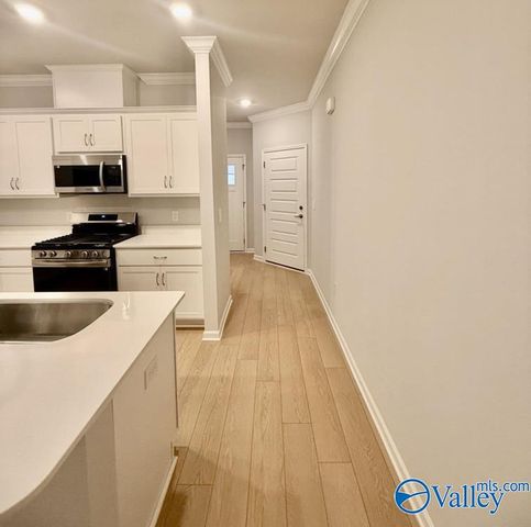 176 Little Britain Street, Madison, AL 35758