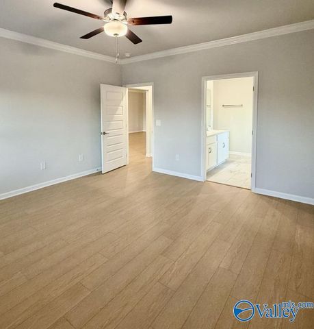 176 Little Britain Street, Madison, AL 35758