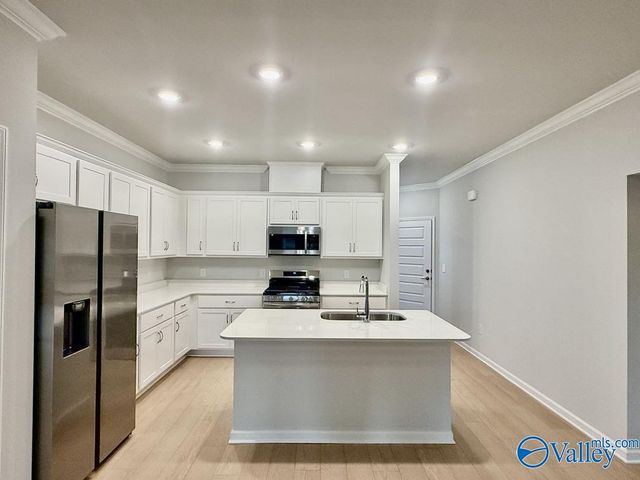 176 Little Britain Street, Madison, AL 35758