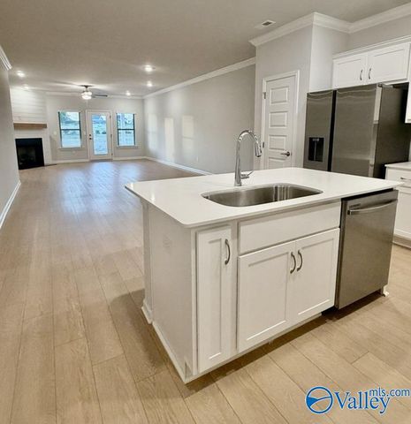 176 Little Britain Street, Madison, AL 35758