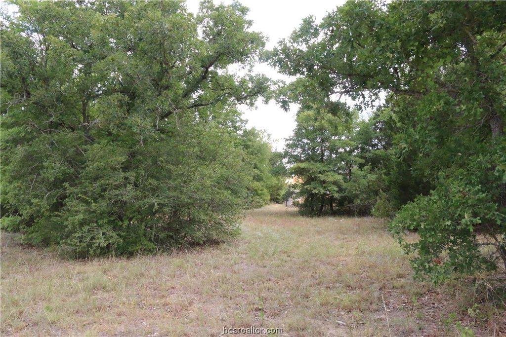 2004 R A Galindo Boulevard, Bryan, TX 77807 — photo 2