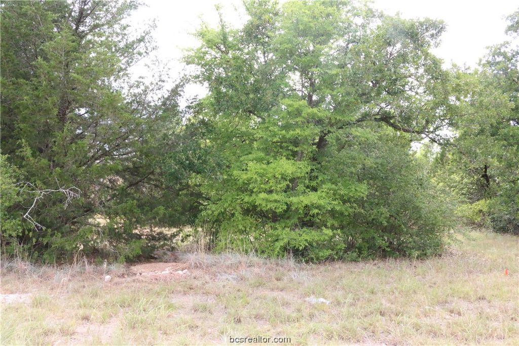 2004 R A Galindo Boulevard, Bryan, TX 77807 — photo 5