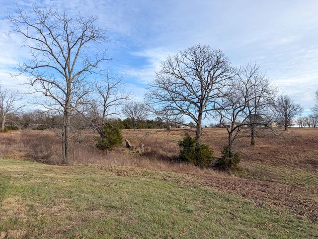 5553 Highway 95, Mountain Grove, MO 65711