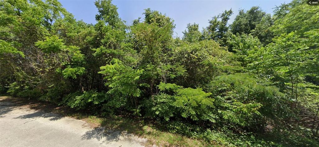 19 SE 146 LANE, Summerfield, FL 34491