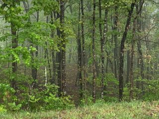 225 Prospectors Way Rb-223, Jasper, TN 37347