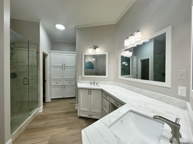 19224 Green Heron Dr, Saint George, LA 70817
