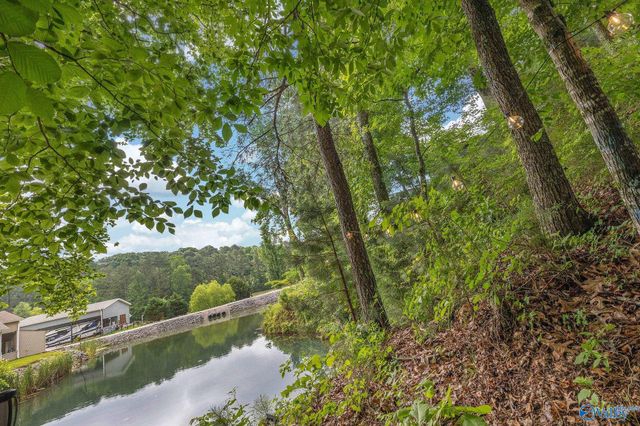 1727 Convict Camp Road 57, Guntersville, AL 35976