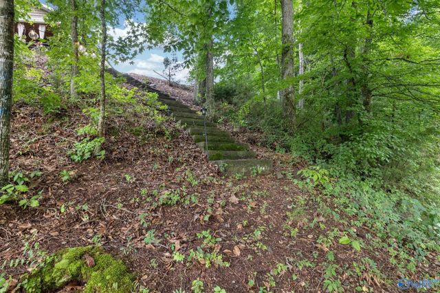 1727 Convict Camp Road 57, Guntersville, AL 35976