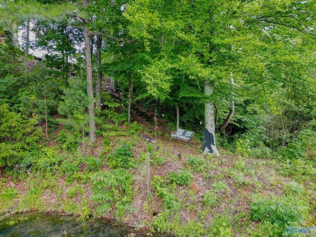 1727 Convict Camp Road 57, Guntersville, AL 35976