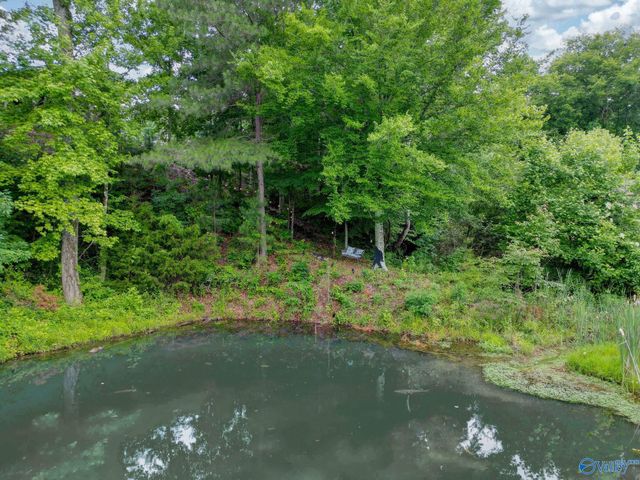 1727 Convict Camp Road 57, Guntersville, AL 35976