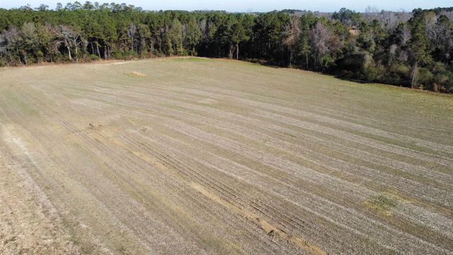 TBD Highway 917, Nichols, SC 29581