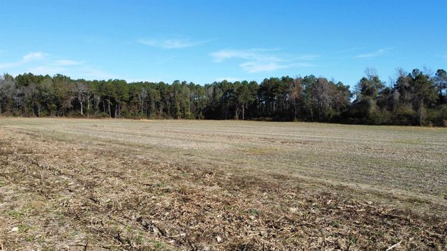 TBD Highway 917, Nichols, SC 29581