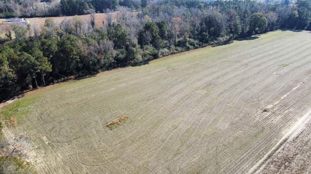TBD Highway 917, Nichols, SC 29581