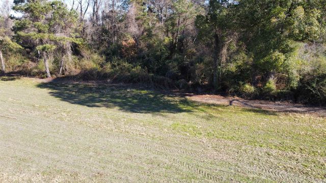 TBD Highway 917, Nichols, SC 29581