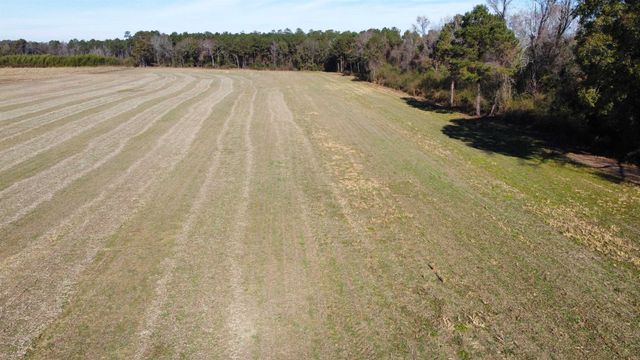 TBD Highway 917, Nichols, SC 29581