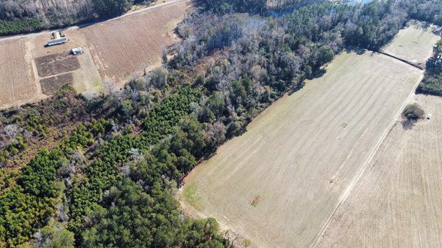 TBD Highway 917, Nichols, SC 29581
