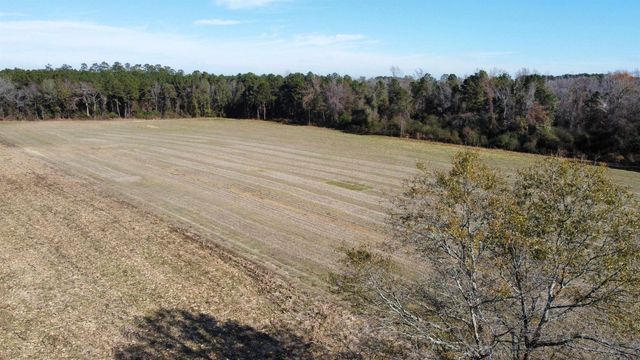 TBD Highway 917, Nichols, SC 29581