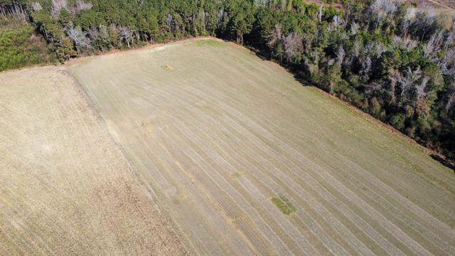 TBD Highway 917, Nichols, SC 29581