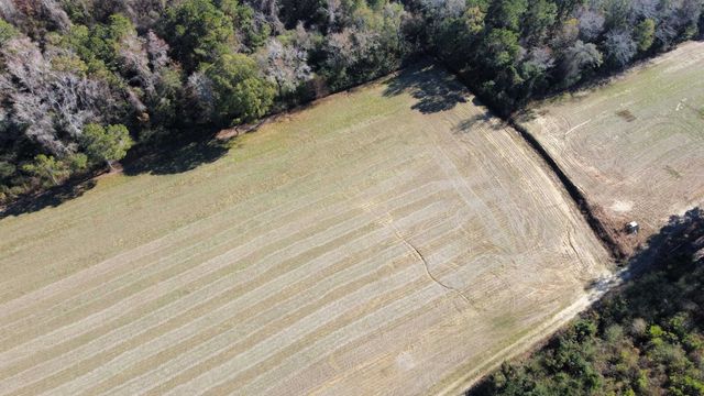 TBD Highway 917, Nichols, SC 29581