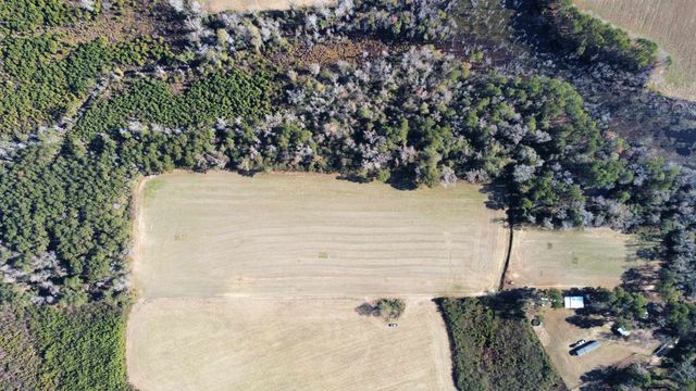 TBD Highway 917, Nichols, SC 29581