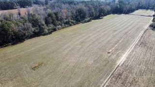 TBD Highway 917, Nichols, SC 29581