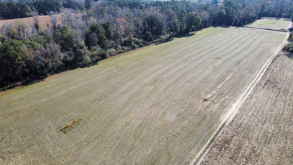 TBD Highway 917, Nichols, SC 29581
