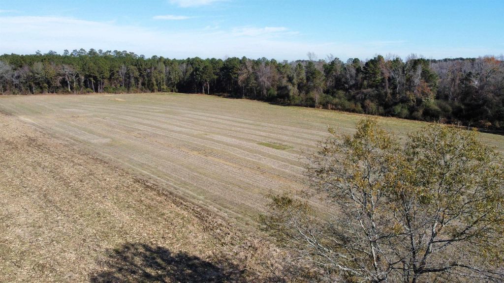 TBD Highway 917, Nichols, SC 29581 — photo 5