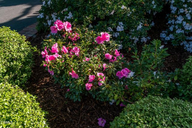 2042 Los Amigos Street, La Canada Flintridge, CA 91011