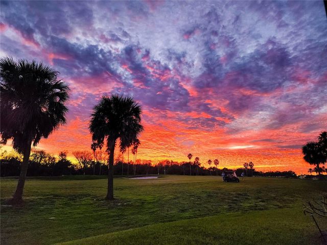 14046 FOX GLOVE STREET, Winter Garden, FL 34787