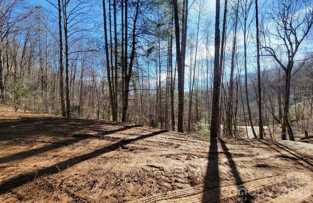 2166 Cove Creek Road, Waynesville, NC 28785