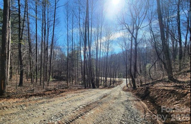 2166 Cove Creek Road, Waynesville, NC 28785