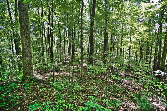 2166 Cove Creek Road, Waynesville, NC 28785