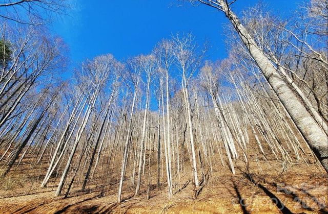 2166 Cove Creek Road, Waynesville, NC 28785