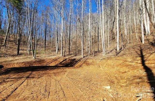 2166 Cove Creek Road, Waynesville, NC 28785